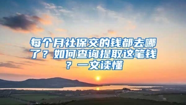 每个月社保交的钱都去哪了？如何查询提取这笔钱？一文读懂