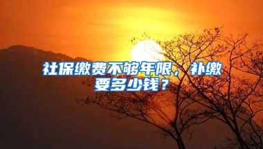 社保缴费不够年限，补缴要多少钱？