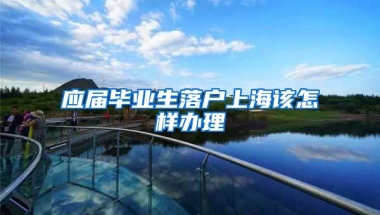 应届毕业生落户上海该怎样办理