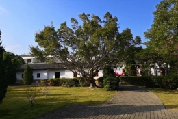 接受应对海归深圳落户时的小意外！