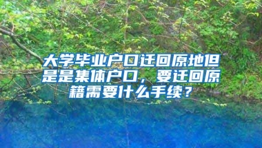 大学毕业户口迁回原地但是是集体户口，要迁回原籍需要什么手续？