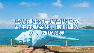 哈佛博士到深圳当街道办副主任引关注：系选调人才、处级领导