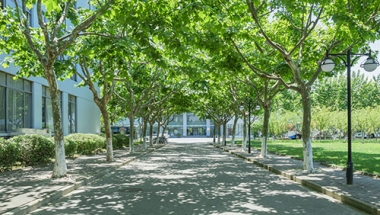 深圳硕士落户,大学生落深户需要什么条件