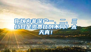 你以为非深户一、二、三档只是缴费比例不同？太天真！