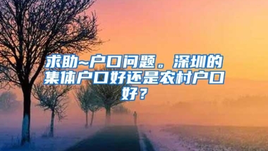求助~户口问题。深圳的集体户口好还是农村户口好？