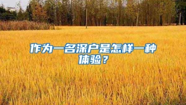 作为一名深户是怎样一种体验？