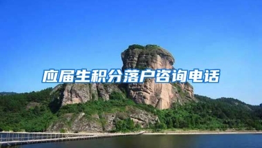 应届生积分落户咨询电话