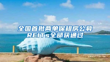 全国首批两单保租房公募REITs全部获通过