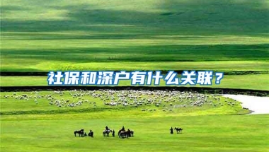 社保和深户有什么关联？