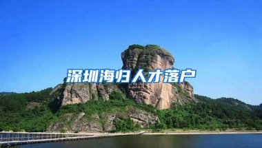 深圳海归人才落户