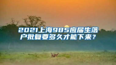 2021上海985应届生落户批复要多久才能下来？