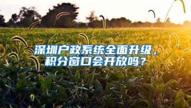 深圳户政系统全面升级，积分窗口会开放吗？