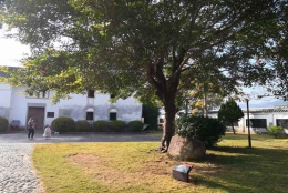 告诉你如何让2021深圳入户集体户口更简单解决！