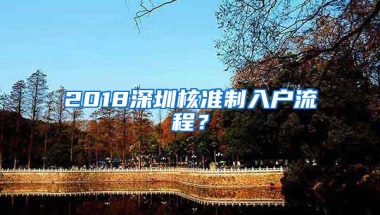 2018深圳核准制入户流程？