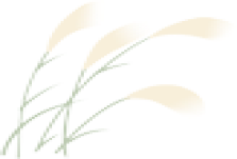 2022年留学生落户深圳最新政策和办理流程！（深户办理）