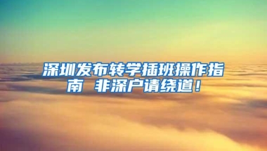 深圳发布转学插班操作指南 非深户请绕道！