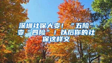 深圳社保大变！“五险”变“四险”！以后你的社保这样交