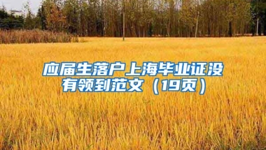 应届生落户上海毕业证没有领到范文（19页）