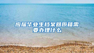 应届毕业生档案回原籍需要办理什么