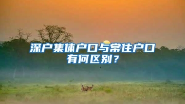 深户集体户口与常住户口有何区别？