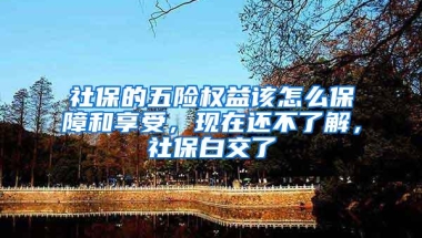 社保的五险权益该怎么保障和享受，现在还不了解，社保白交了