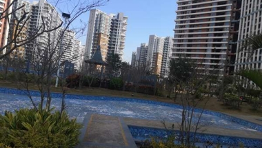 我有一招，能解决深圳集体户落户方式的问题”