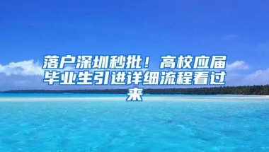 落户深圳秒批！高校应届毕业生引进详细流程看过来