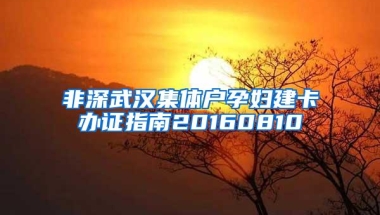 非深武汉集体户孕妇建卡办证指南20160810