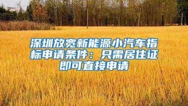 深圳放宽新能源小汽车指标申请条件：只需居住证即可直接申请