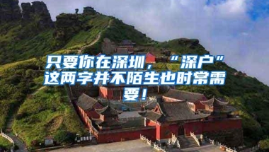 只要你在深圳，“深户”这两字并不陌生也时常需要！