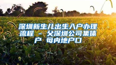 深圳新生儿出生入户办理流程 - 父深圳公司集体户 母内地户口