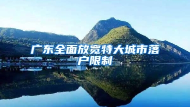 广东全面放宽特大城市落户限制