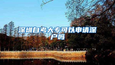 深圳自考大专可以申请深户吗