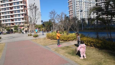 博士入户深圳政策是不是越来越简单了？