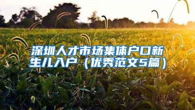 深圳人才市场集体户口新生儿入户（优秀范文5篇）