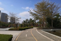 太不可思议了！深圳留学生入户卡有效期应对如此简单！