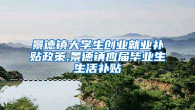 景德镇大学生创业就业补贴政策,景德镇应届毕业生生活补贴