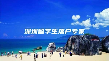 深圳留学生落户专家