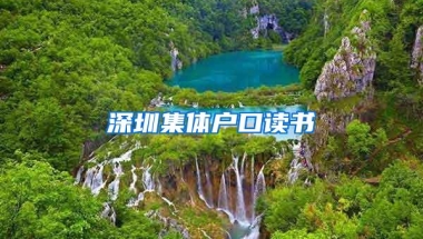 深圳集体户口读书