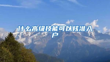 什么高级技能可以核准入户