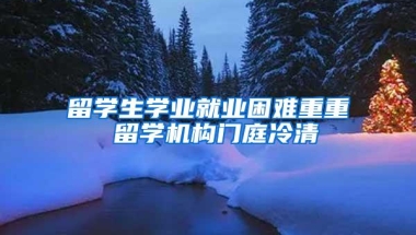 留学生学业就业困难重重 留学机构门庭冷清