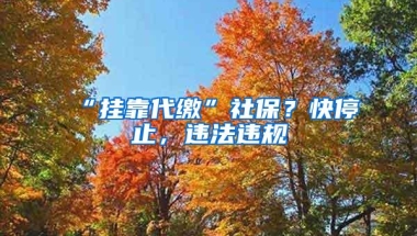 “挂靠代缴”社保？快停止，违法违规