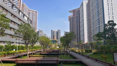 当我办理2021深圳留学生落户政策时他们笑了，但当我成功后……！