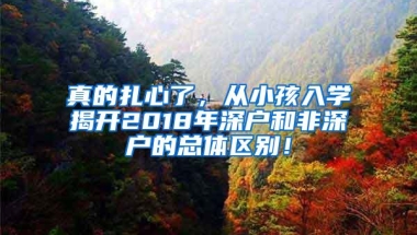 真的扎心了，从小孩入学揭开2018年深户和非深户的总体区别！