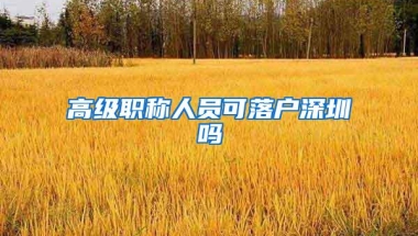 高级职称人员可落户深圳吗