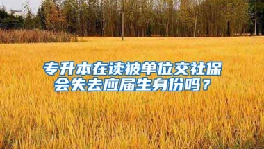 专升本在读被单位交社保会失去应届生身份吗？