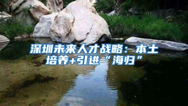 深圳未来人才战略：本土培养+引进“海归”