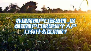 办理深圳户口多少钱_深圳集体户口跟深圳个人户口有什么区别呢？