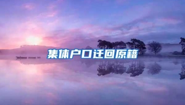 集体户口迁回原籍