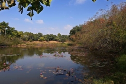 关于硕士研究生深圳落户，看这篇就够了